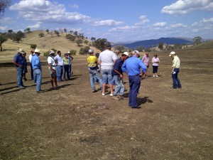 bushfire-recovery-landcare