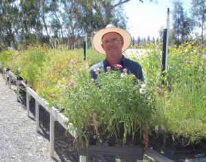 steve hamill-landcare-nursery